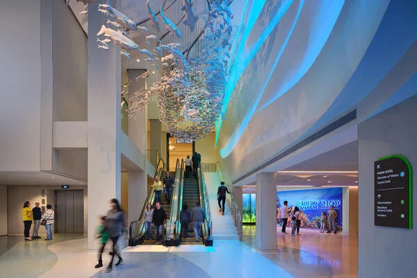 Shedd Aquarium Renovations field photo 10